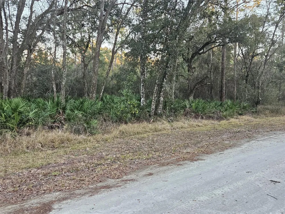 ROSEHILL DRIVE Webster, FL 33597