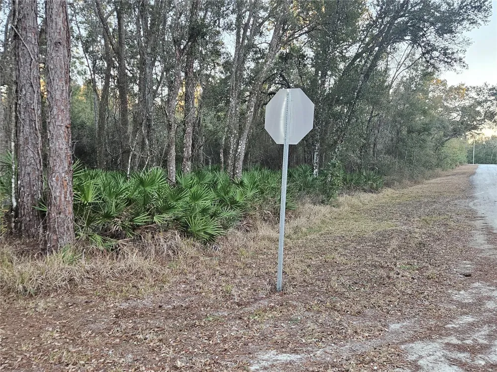 ROSEHILL DRIVE Webster, FL 33597