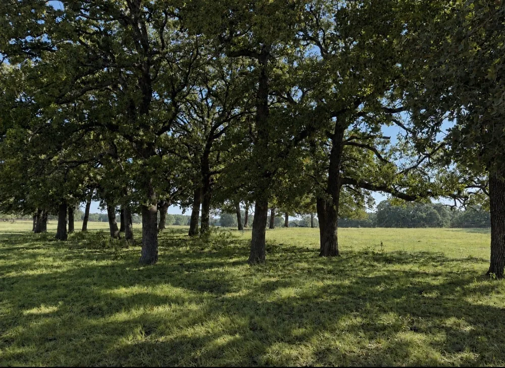 Springs Road Valley View, TX 76272