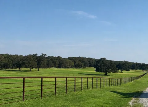 Springs Road