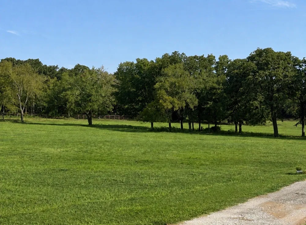 Springs Road Valley View, TX 76272