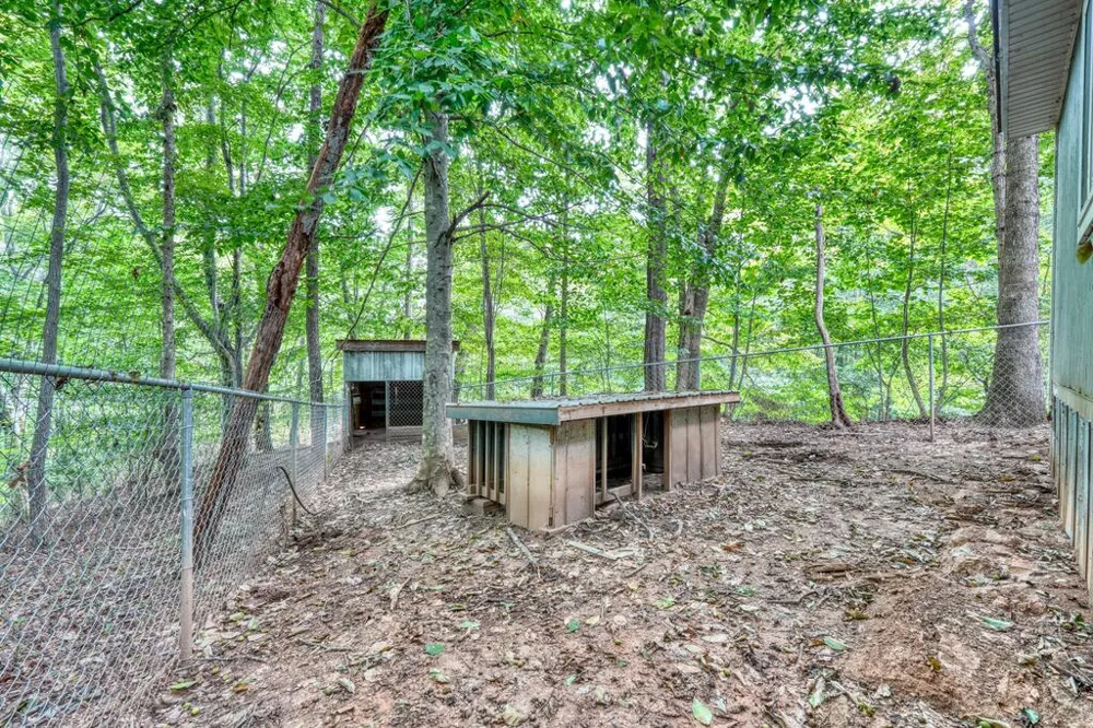 8296 True Love Mountain Road Young Harris, GA 30582