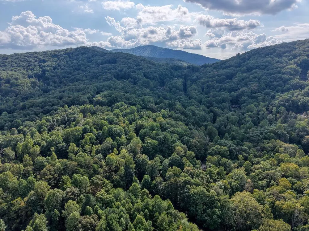 8296 True Love Mountain Road Young Harris, GA 30582