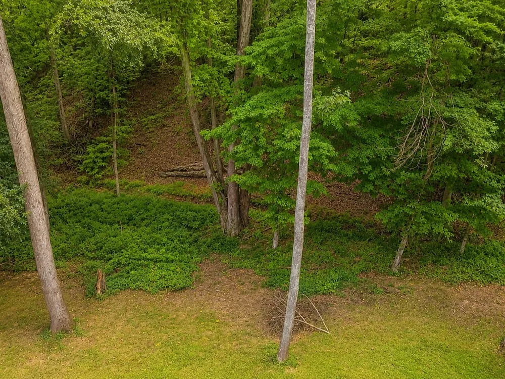 113 Birdie Ct NW Cleveland, TN 37312