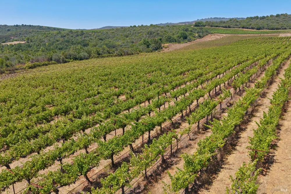 3585 Soda Canyon Road Napa, CA 94558