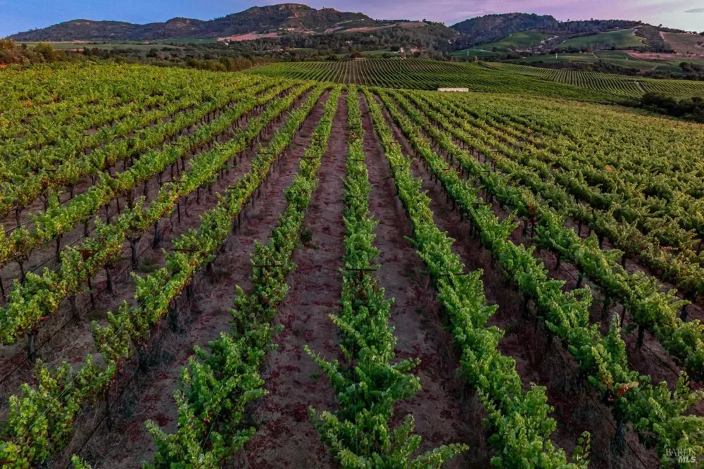 3585 Soda Canyon Road Napa, CA 94558