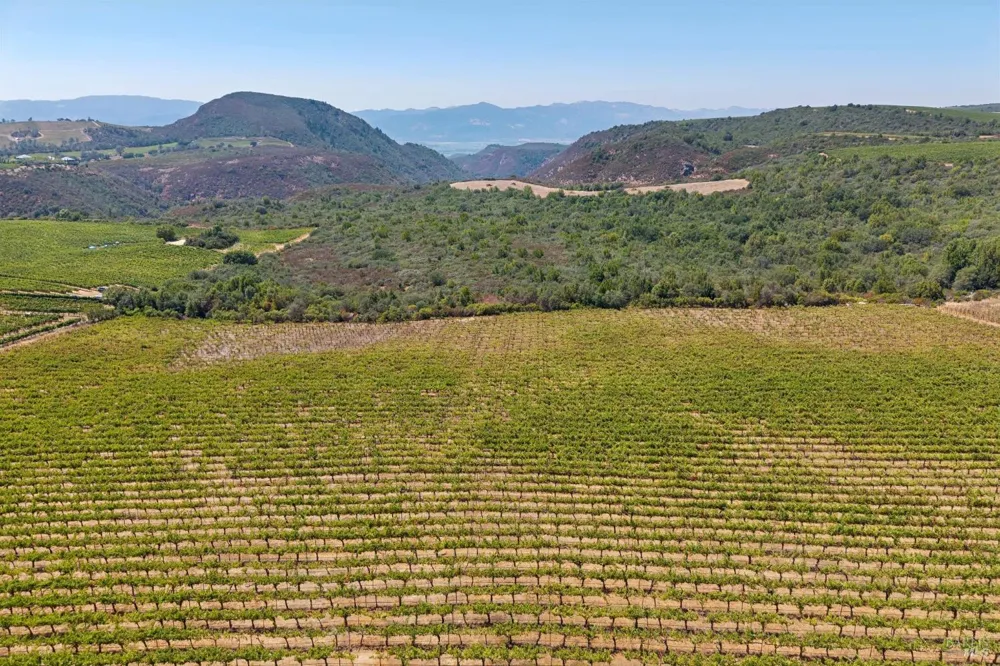 3585 Soda Canyon Road Napa, CA 94558