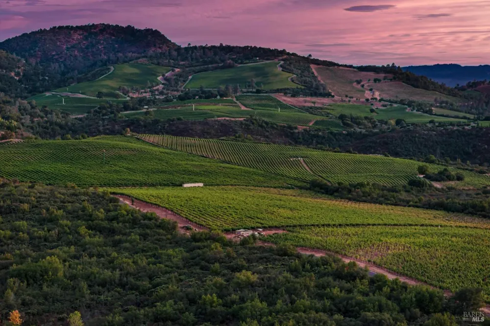 3585 Soda Canyon Road Napa, CA 94558