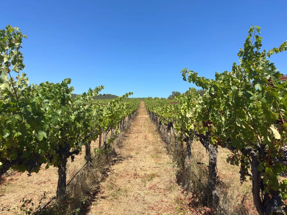 3585 Soda Canyon Road Napa, CA 94558
