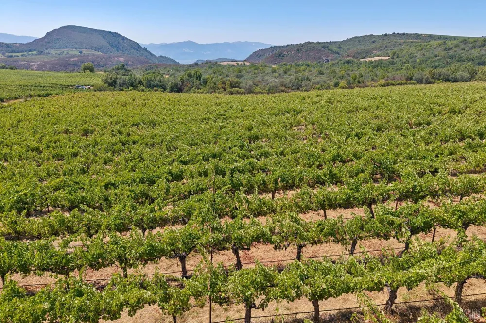 3585 Soda Canyon Road Napa, CA 94558