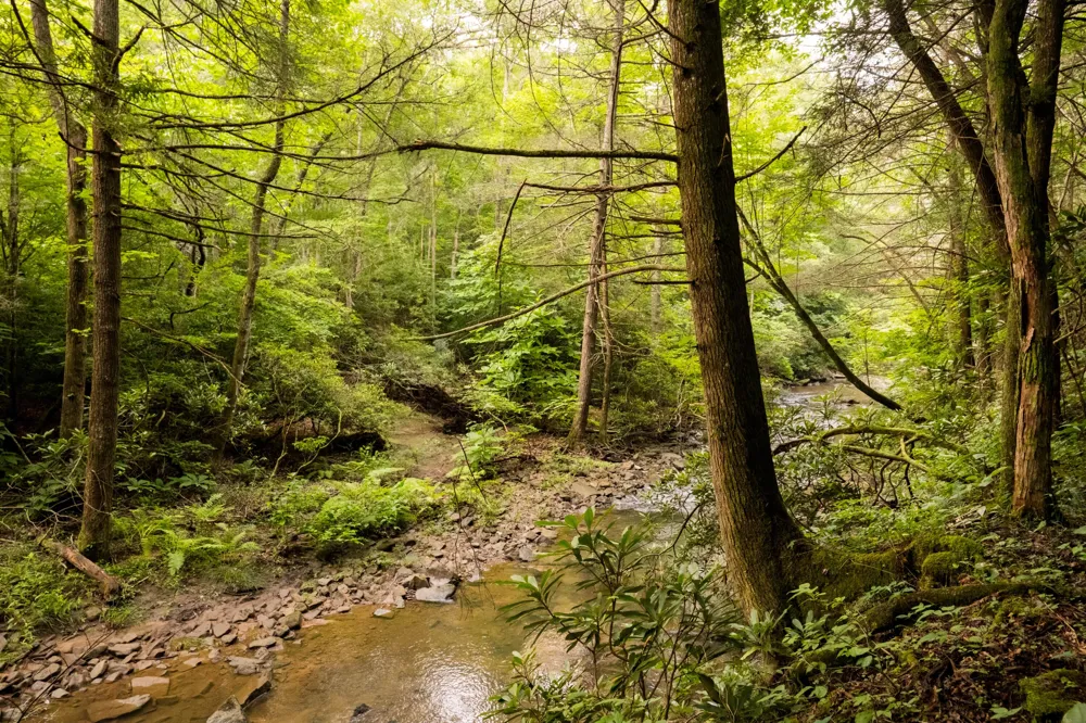 Flowing Well Road Spencer, TN 38585