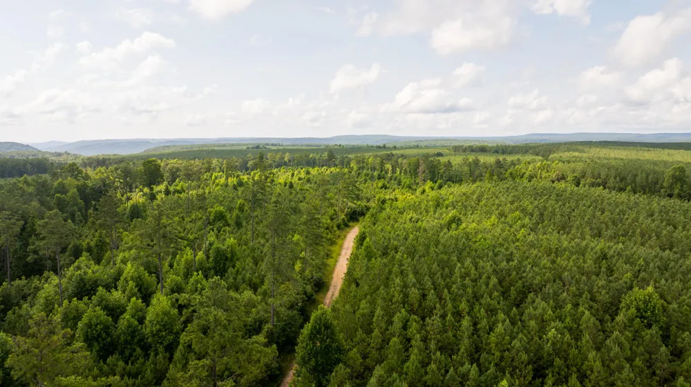 Flowing Well Road Spencer, TN 38585