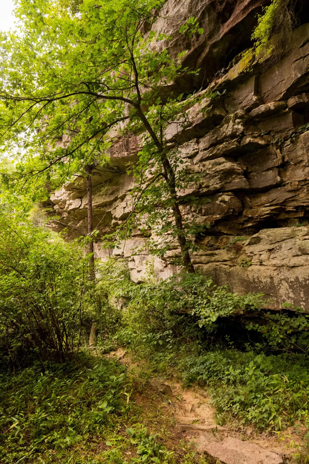 Flowing Well Road Spencer, TN 38585