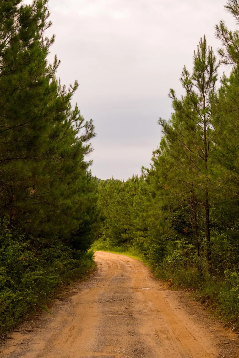 Flowing Well Road Spencer, TN 38585