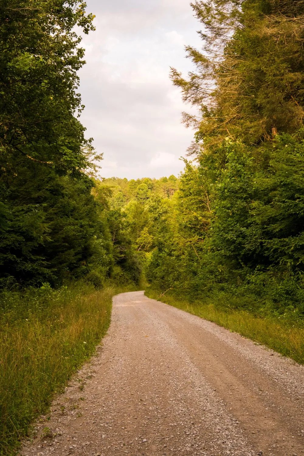 Flowing Well Road Spencer, TN 38585