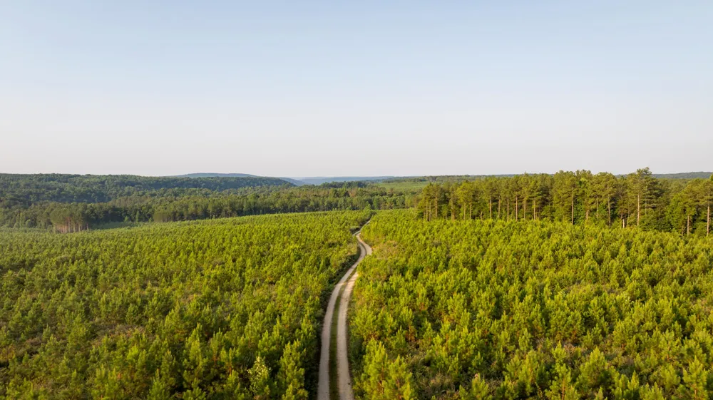 Flowing Well Road Spencer, TN 38585