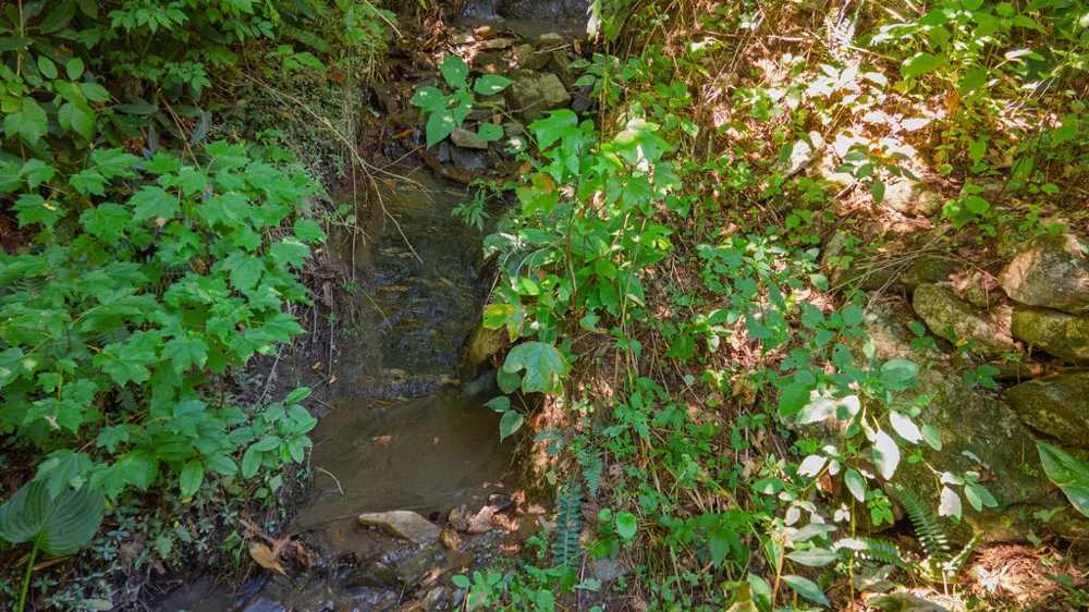 Little Hogback mountain Highlands, NC 28741