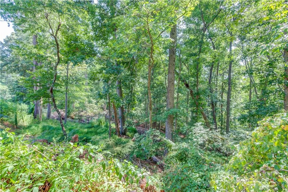 4301 Holiday Heights Drive Oakwood, GA 30566