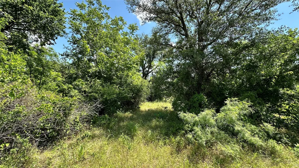 County Road 295 Carbon, TX 76435