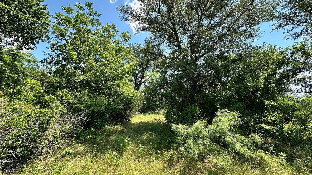 County Road 295 Carbon, TX 76435
