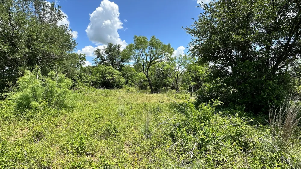 County Road 295 Carbon, TX 76435