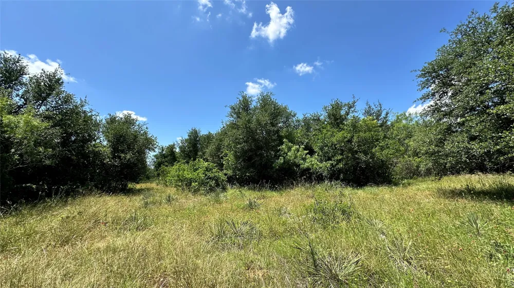 County Road 295 Carbon, TX 76435