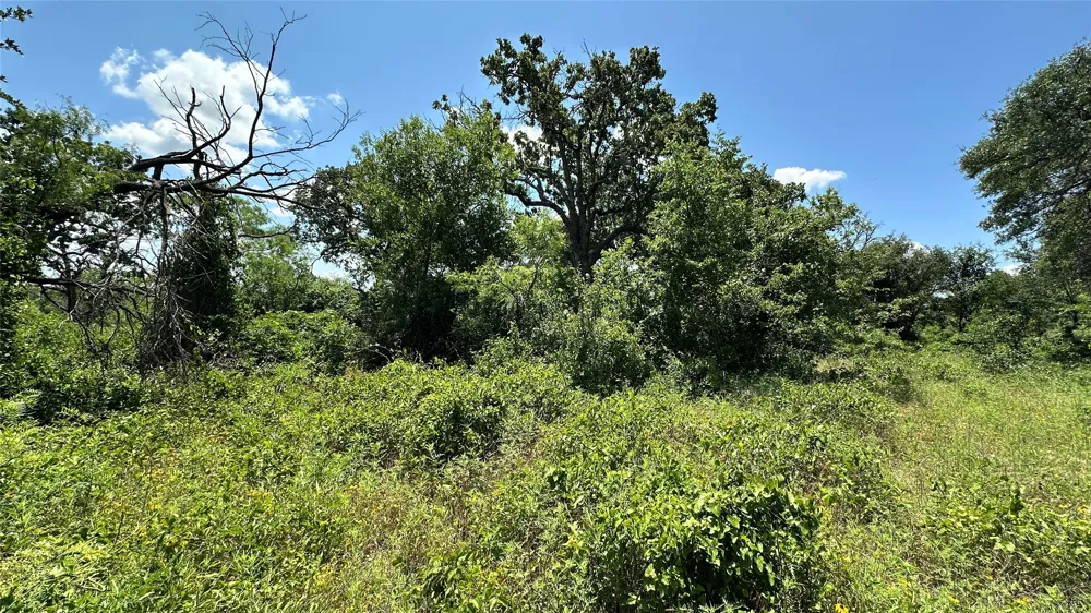 County Road 295 Carbon, TX 76435