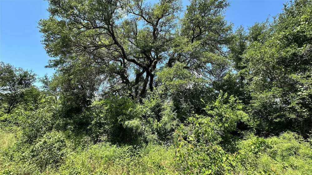 County Road 295 Carbon, TX 76435
