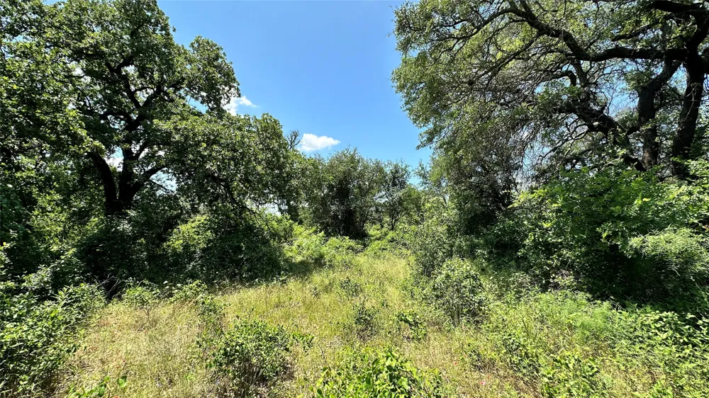 County Road 295 Carbon, TX 76435
