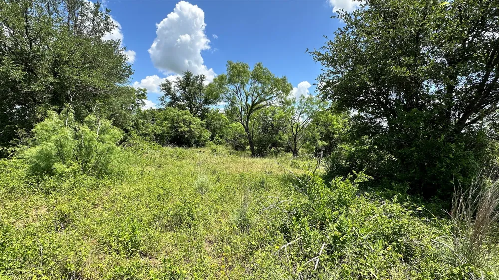 County Road 295 Carbon, TX 76435