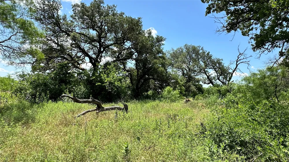 County Road 295 Carbon, TX 76435