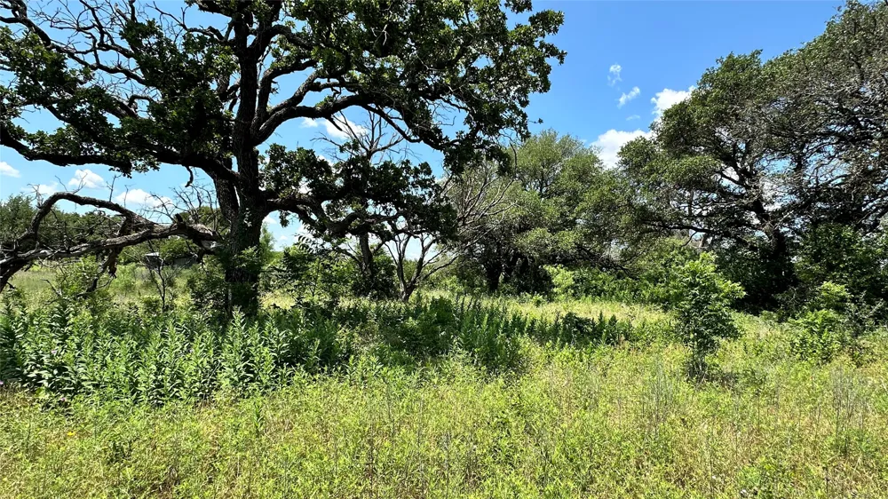 County Road 295 Carbon, TX 76435