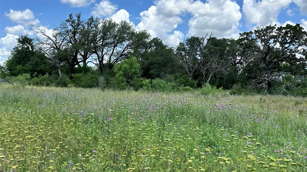 County Road 295 Carbon, TX 76435