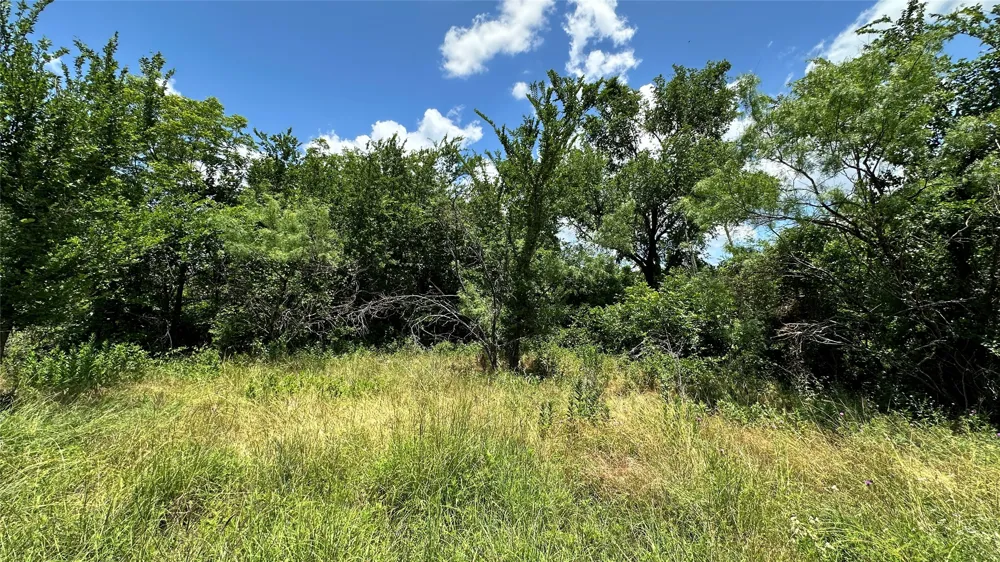 County Road 295 Carbon, TX 76435