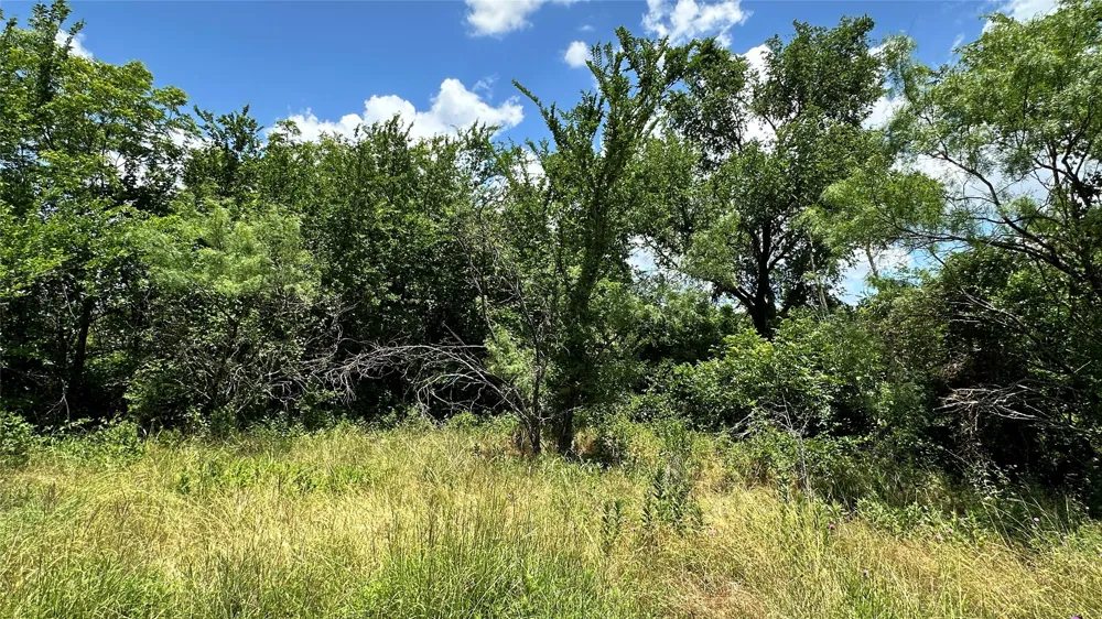 County Road 295 Carbon, TX 76435