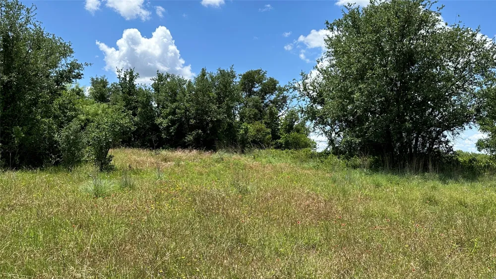 County Road 295 Carbon, TX 76435