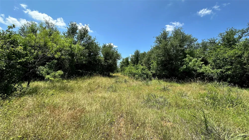 County Road 295 Carbon, TX 76435
