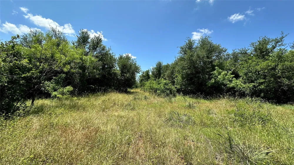 County Road 295 Carbon, TX 76435