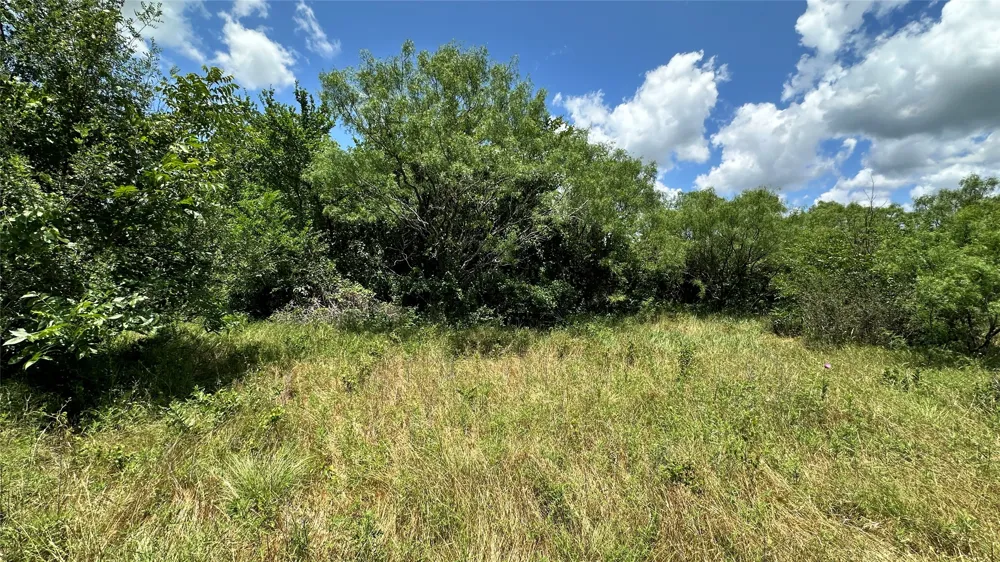 County Road 295 Carbon, TX 76435