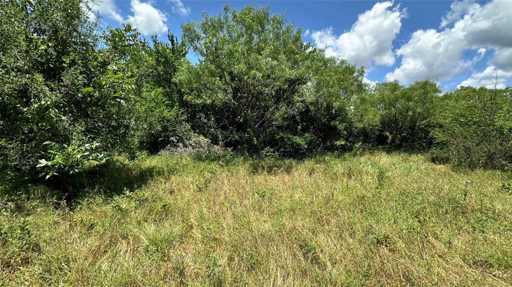 County Road 295 Carbon, TX 76435