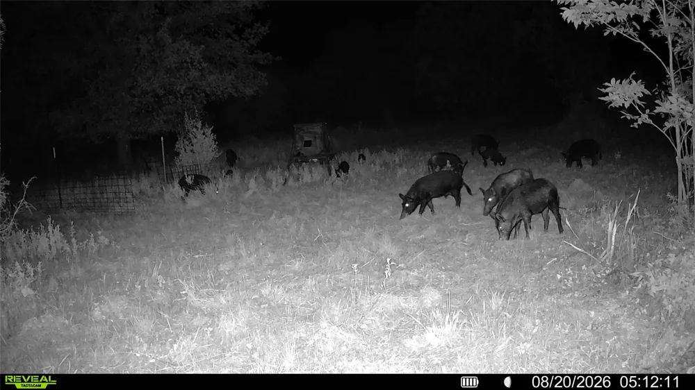 County Road 295 Carbon, TX 76435