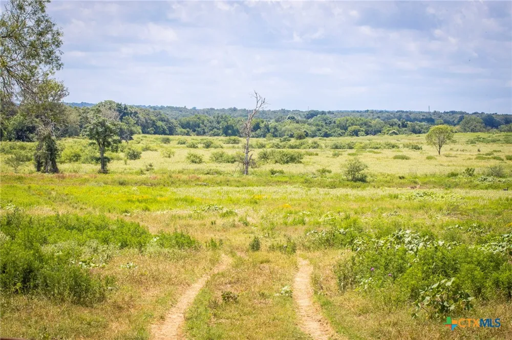 181 Pine Meadow Road Seguin, TX 78155