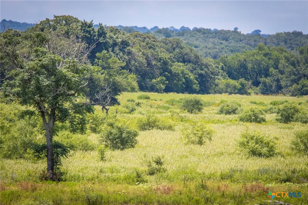 181 Pine Meadow Road Seguin, TX 78155