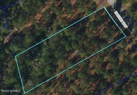 218 Cassie May Boulevard Oriental, NC 28571