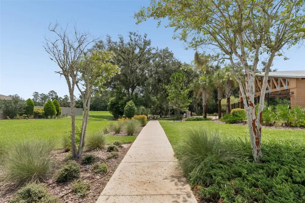 6388 SPIDER LILY WAY New Port Richey, FL 34653