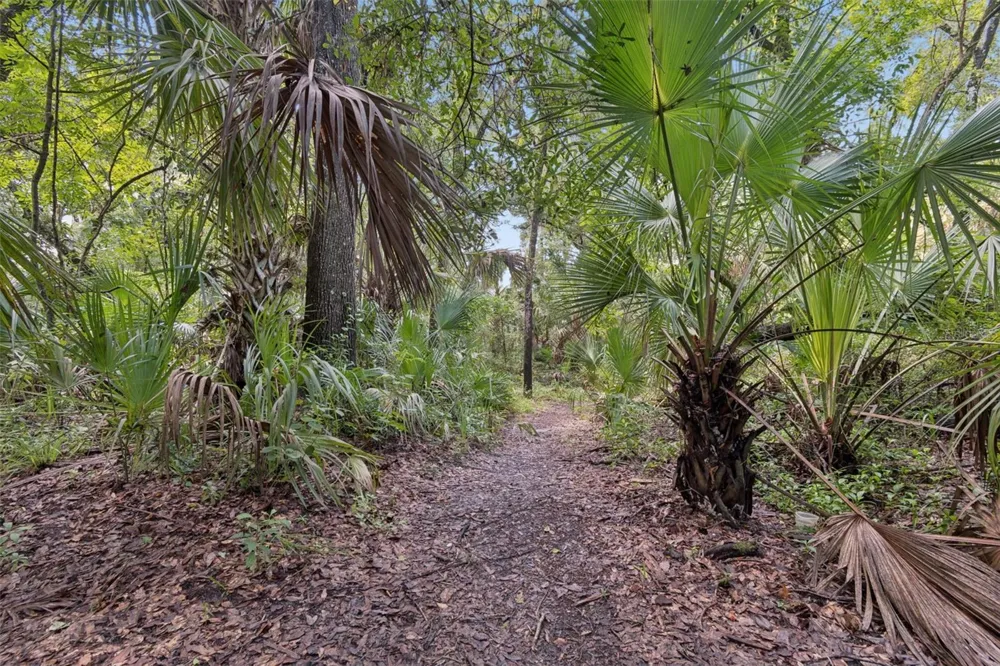 6388 SPIDER LILY WAY New Port Richey, FL 34653