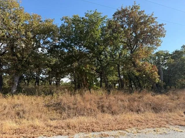 15 Crestline Court Nocona, TX 76255