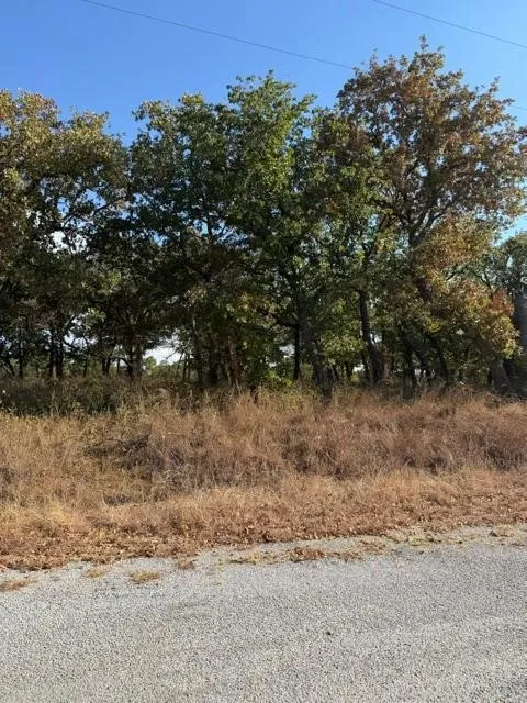 15 Crestline Court Nocona, TX 76255