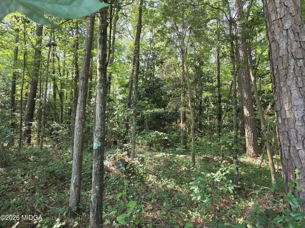 2110 Forest Hill Road Macon, GA 31210