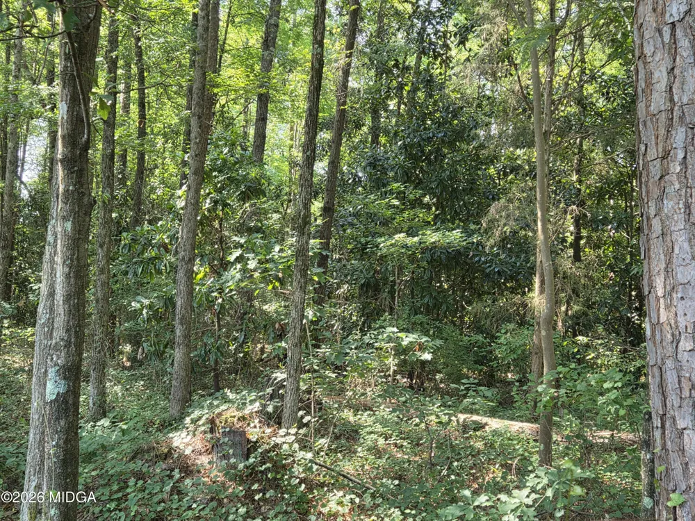 2110 Forest Hill Road Macon, GA 31210